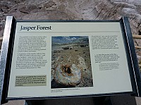 Crystal forest FP (2).JPG